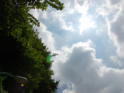 https://herz-bag.mom/blog/oldblog/pictures/DSC_6676.jpg