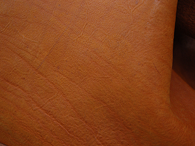 https://herz-bag.mom/blog/oldblog/pictures/DSC_6957.jpg