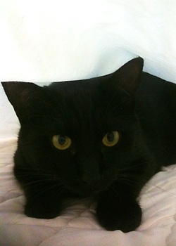 https://herz-bag.mom/blog/oldblog/pictures/IMG_0644s.jpg