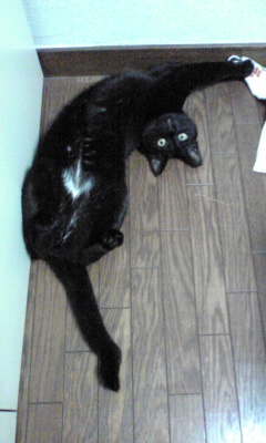 https://herz-bag.mom/blog/oldblog/pictures/Image096.jpg