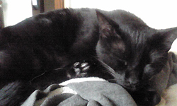 https://herz-bag.mom/blog/oldblog/pictures/Image1033.jpg