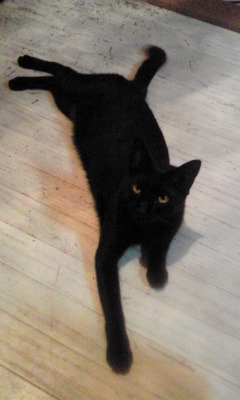 https://herz-bag.mom/blog/oldblog/pictures/Image194.jpg