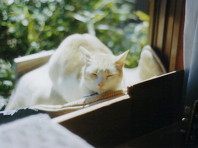 https://herz-bag.mom/blog/oldblog/pictures/Scan10001.jpg
