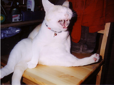 https://herz-bag.mom/blog/oldblog/pictures/Scan10002.jpg