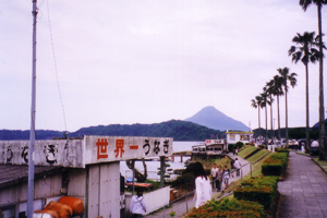 https://herz-bag.mom/blog/oldblog/pictures/gw_09_unagi.jpg
