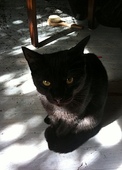 https://herz-bag.mom/blog/oldblog/pictures/kiri10.jpg