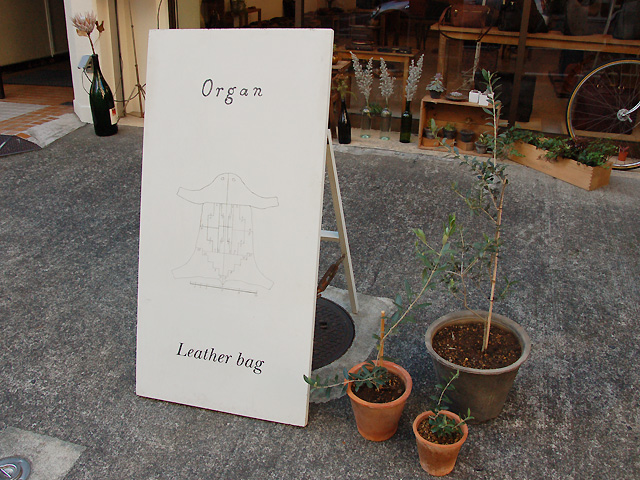 Organ