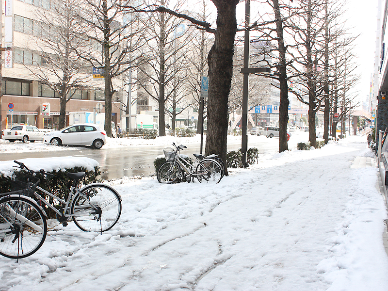 仙台も雪