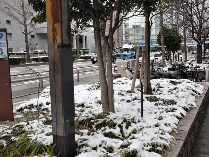 名古屋雪模様