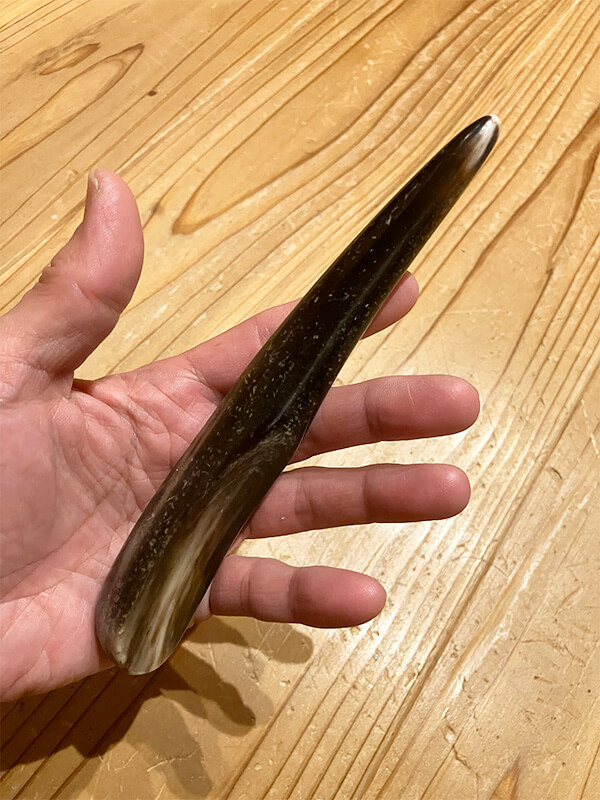 セイジ水牛3